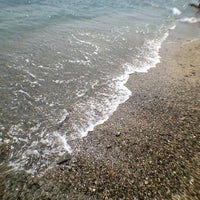 御前崎海水浴場 78 Visitors 御前崎海水浴場 78 Visitors