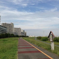 Photo taken at 新田地区 荒川の五色桜 by abacab on 10/13/2012