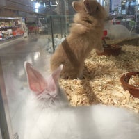 Aveve Garden Center In Ninove