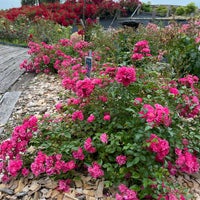 Photo taken at 富士山樹空の森 by はんめ on 6/19/2023