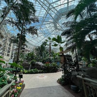 Photo taken at Gaylord Palms Resort &amp;amp; Convention Center by Smeet P. on 4/12/2023