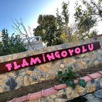 Photo taken at Flamingo Köy by Didem Çağla S. on 10/15/2023