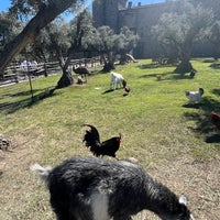 Das Foto wurde bei Castello di Amorosa von Mark Lester A. am 3/16/2024 aufgenommen