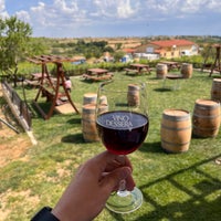 Photo taken at Vino Dessera Vineyards by T on 6/18/2023
