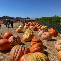 Photo taken at Underwood Family Farms by Alexey S. on 10/9/2021