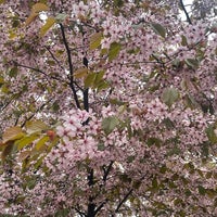 Photo taken at Parterre Garden of Smolny Institute by Ольга Ч. on 5/17/2022