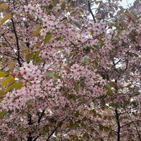 Photo taken at Parterre Garden of Smolny Institute by Ольга Ч. on 5/17/2022