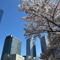 Photo taken at Osaka Castle Park by Kanesue on 4/10/2024