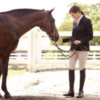 Tack Room Inc 8 Visitors