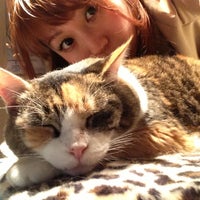 Photo taken at 猫だ！カフェ by まみ こ. on 5/30/2013