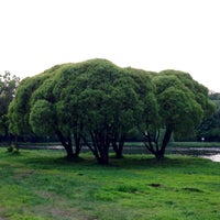 Photo taken at Покровское-Стрешнево (природно-исторический парк) by Luda S. on 5/20/2013