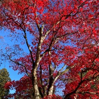 Photo taken at Mitake Visitor Center by Cheacoq on 11/25/2023