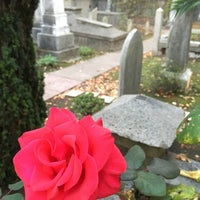 Photo taken at Mission Dolores Cemetery by Lena C. on 11/22/2015