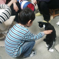 東京キャットガーディアン 西国分寺シェルター Animal Shelter In 西国分寺