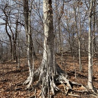 Photo taken at North Woods by Robert R. on 2/10/2022
