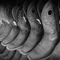 sheplers boot store