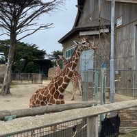 Photo taken at San Francisco Zoo by Ying L. on 4/25/2024