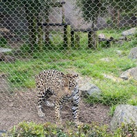 Photo taken at San Francisco Zoo by Ying L. on 4/25/2024