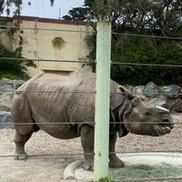 Photo taken at San Francisco Zoo by Ying L. on 4/25/2024