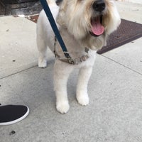 Photo taken at Doggie Styles by Lauren on 9/7/2019