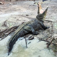 Photo taken at Hartley&amp;#39;s Crocodile Adventures by Kateryna V. on 1/8/2020