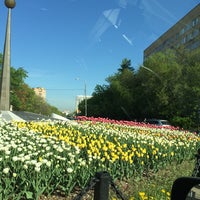 Цветочная Поляна Советская гавань