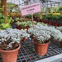 Wens Garden Miri Sarawak