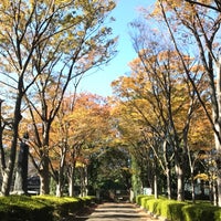 Photo taken at 一本杉公園野球場 by 洋子 鈴. on 11/8/2019