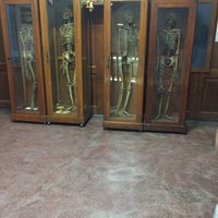 Photo taken at Congdon&amp;#39;s Anatomical Museum by yoojeen on 4/22/2016