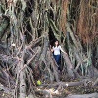 Photo taken at Biggest Balete Tree in Asia by Zanne on 7/22/2016