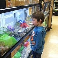 Photo taken at Petco by Jude R. on 4/22/2013