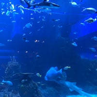 Photo taken at Jakarta Aquarium by  Rully A. on 10/1/2017