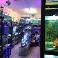 Pusat Promosi Ikan Hias Menteng Jakarta Pusat Jakarta