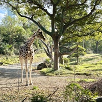 Photo taken at Tennoji Zoo by Elise ❥. on 11/19/2023