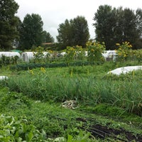 Photo taken at Marra Farm by Sierra M. on 9/6/2013