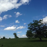 Izvoru Crişului 1 tip from 284 visitors