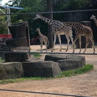 Photo taken at MillerCoors Giraffe Experience by Mindy O. on 8/13/2019