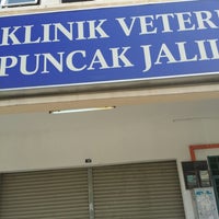 Klinik Veterinar Puncak Jalil 2 Tips From 61 Visitors