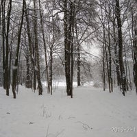 Photo taken at Утиный пруд by Dimka on 2/11/2018