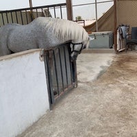 Photo taken at Royalty Equestrian Club by Abdulmajeed on 8/29/2022