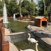 5/4/2018 tarihinde Ayşegül G.ziyaretçi tarafından Kuğulu Park'de çekilen fotoğraf