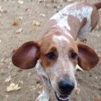 Photo taken at George Ward Dog Park by Rustin on 10/28/2012