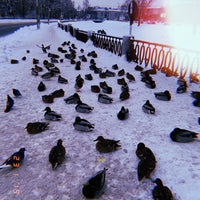 Photo taken at Чернореченский мост by Polina A. on 1/24/2019