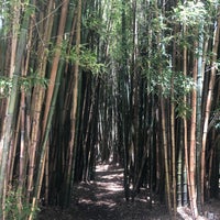 Photo taken at Bamboo Forest by Sofia G. on 6/4/2019
