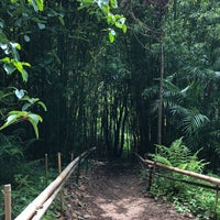Photo taken at Bamboo Forest by Sofia G. on 7/16/2019