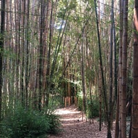 Photo taken at Bamboo Forest by Sofia G. on 10/1/2021