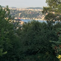 8/3/2019 tarihinde Ferit A.ziyaretçi tarafından Backyard'de çekilen fotoğraf