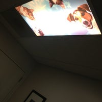 northside emergency veterinary clinic