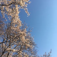 Photo taken at 旭川さくらみち by 鮎子 on 4/3/2019