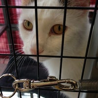 Photo taken at Pet Supplies Plus Charlottesville by Hovhannes B. on 10/9/2012